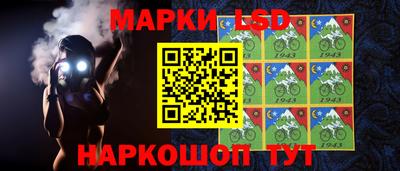 эйфоретик Малгобек