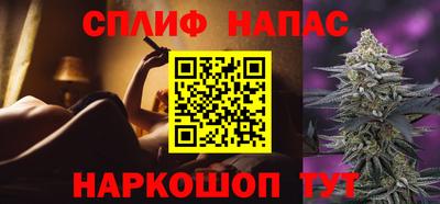 эйфоретик Малгобек