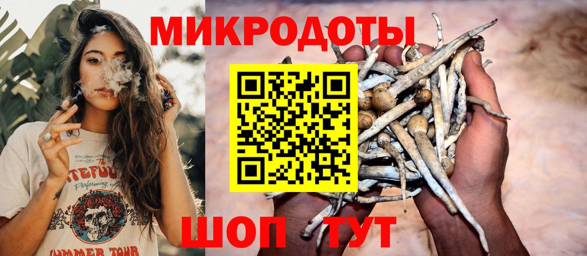 Псилоцибиновые грибы ЛСД Гатчина