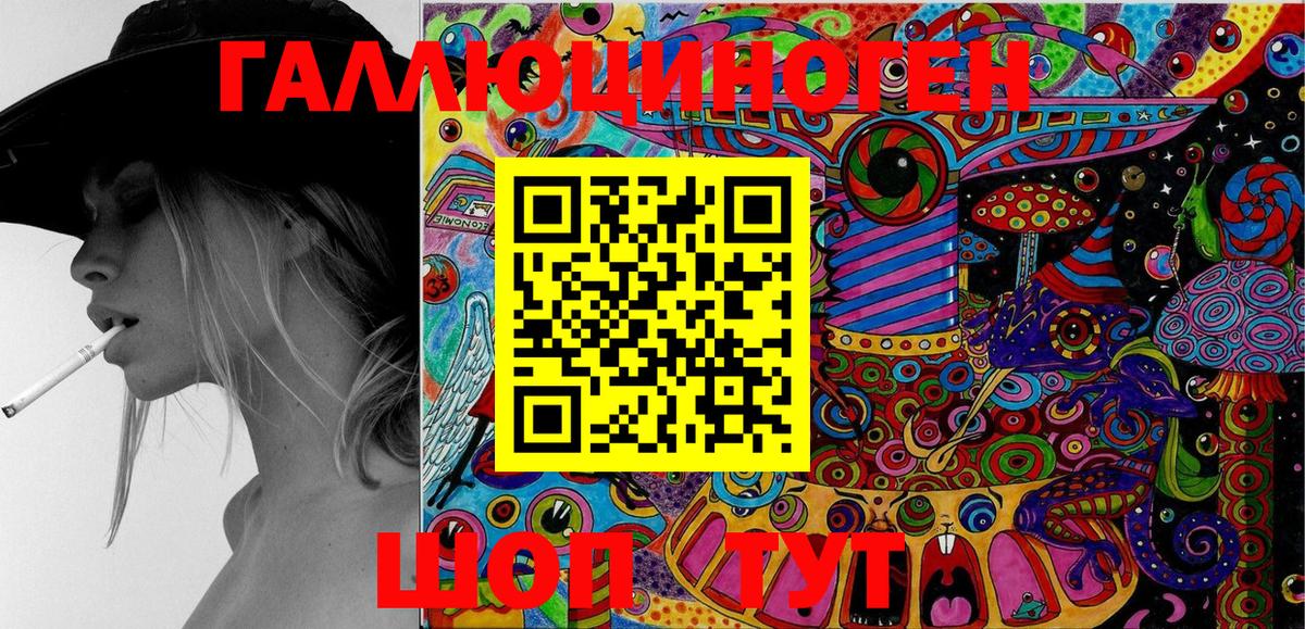 Гатчина  Псилоцибиновые грибы Cubensis  Вход с VPN 